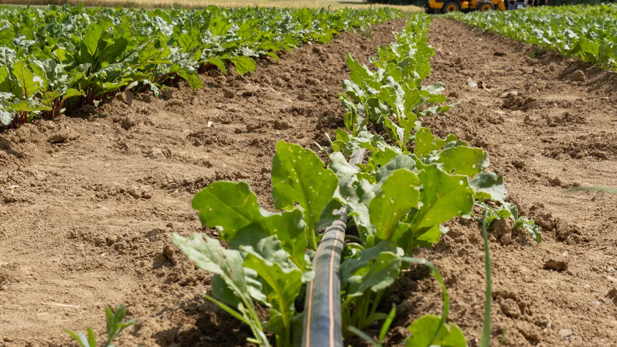 Garden Watering Tools for Vegetable Gardens