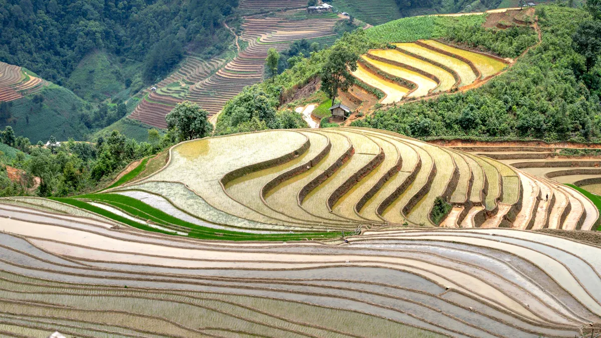 Understanding the Chinese Sprinkler Market