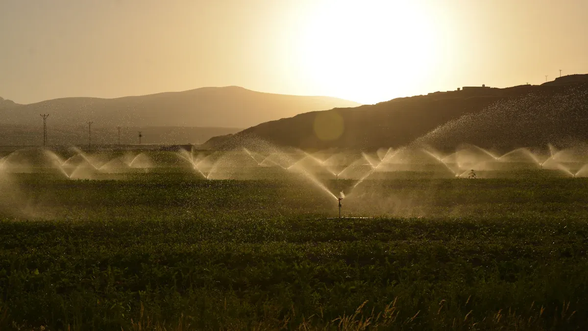 Assess Your Landscape for Rotating Sprinkler Installation